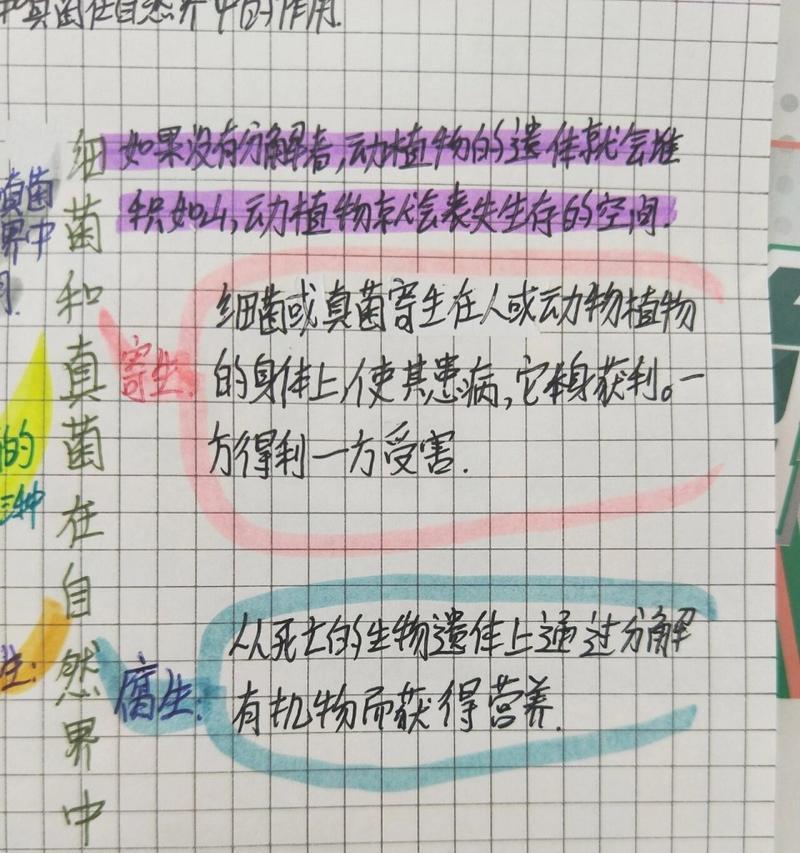 真菌繁殖方式是什么？了解真菌生长的秘密！