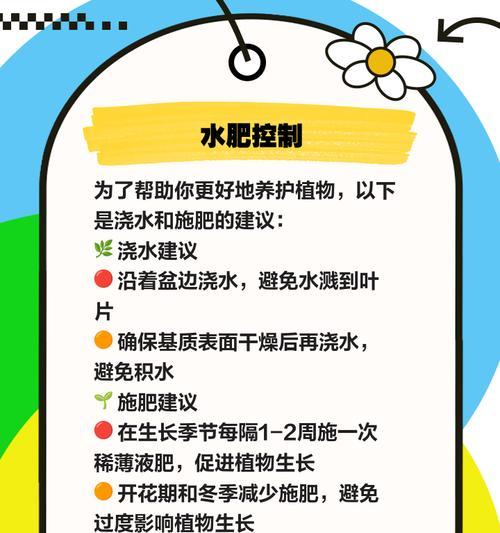 蝴蝶兰养护指南：如何让蝴蝶兰绽放美丽？