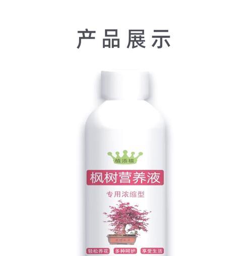 美国枫树的养护指南是什么？如何解决养护中的常见问题？
