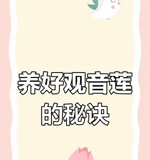 观音莲的养护与繁殖全攻略是什么？有哪些常见问题？