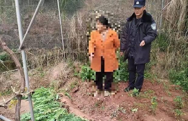为什么种罂粟违法？罂粟有哪些危害？