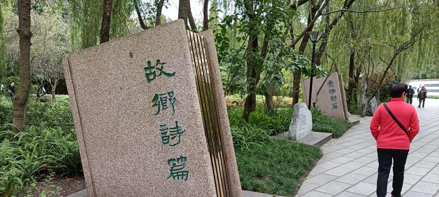 白花在文艺片中如何诗意表达？
