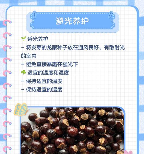 种子催芽技巧有哪些？如何提升发芽率？
