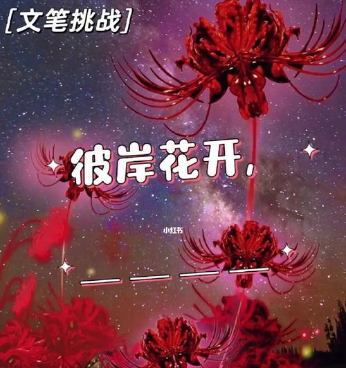 彼岸花的花语和寓意是什么？花语大全有哪些？