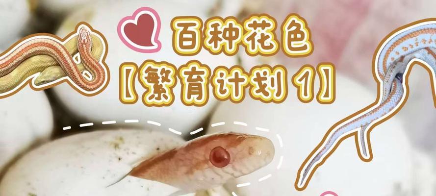 蛇类繁殖方式有哪些？