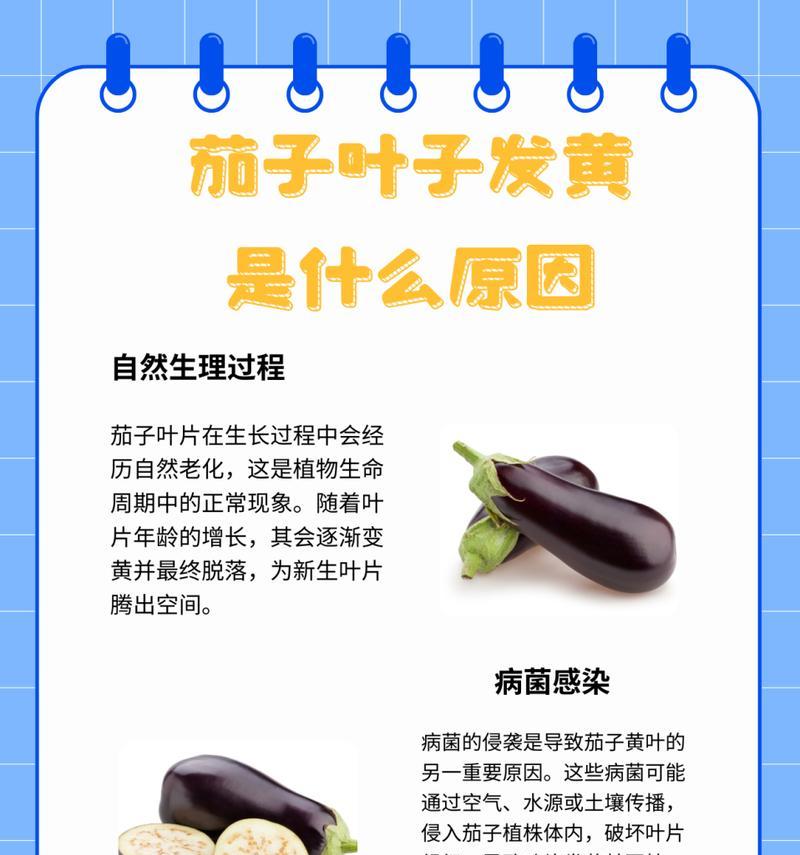 叶子变黄是什么原因？