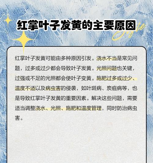 叶子变黄是什么原因？