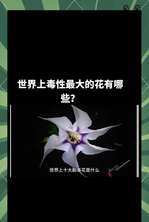 哪四种有毒花卉不宜养在家里？