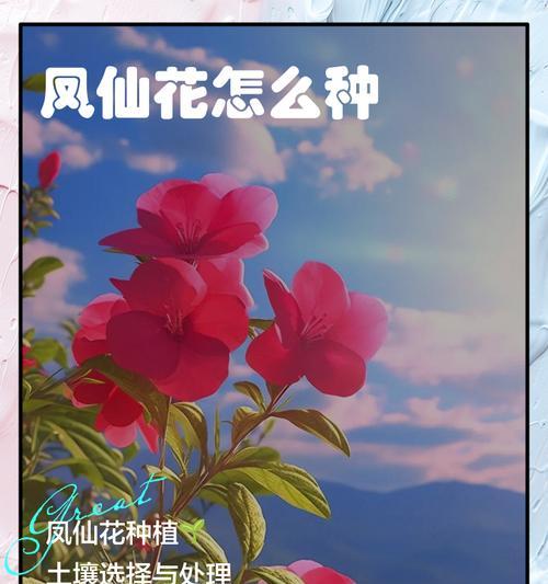凤仙花播种后多久能开花？