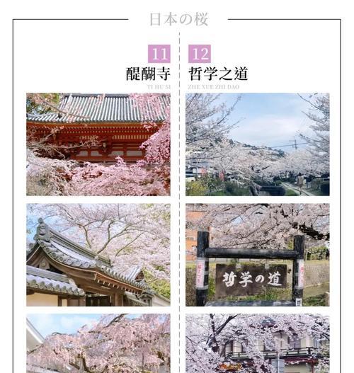 樱花什么时候开花？赏樱的最佳指南是什么？