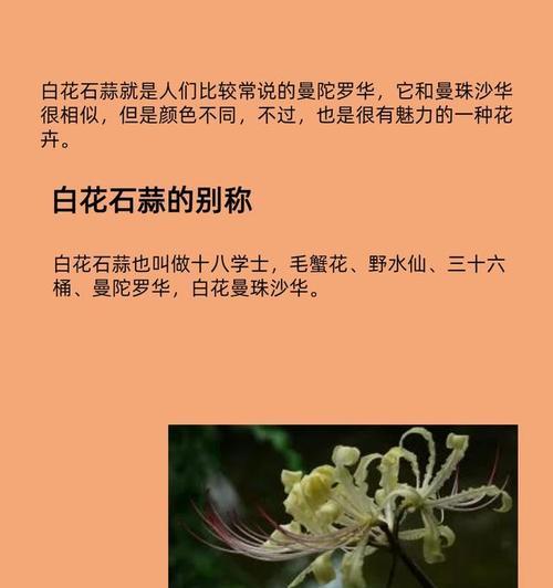 石蒜被误解的原因是什么？正确的养护要点有哪些？