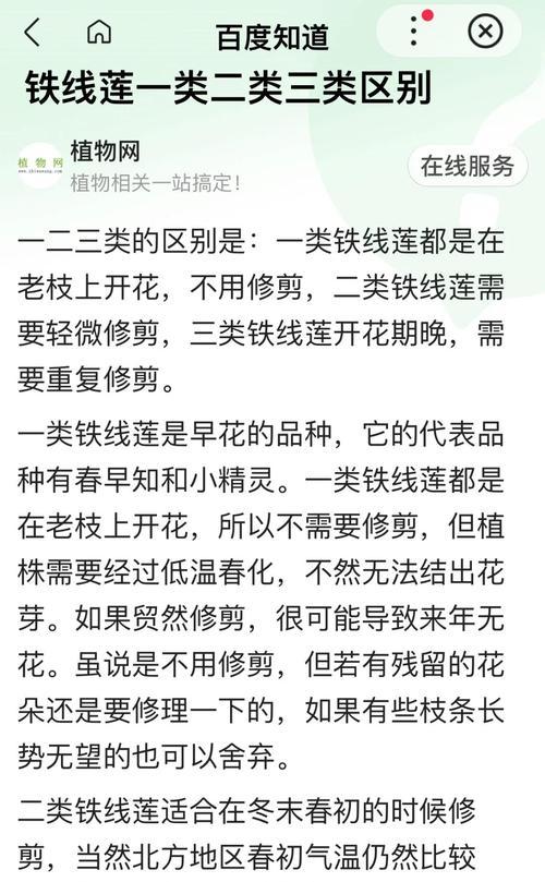 铁线莲如何从幼苗种植到花期管理？有哪些步骤？
