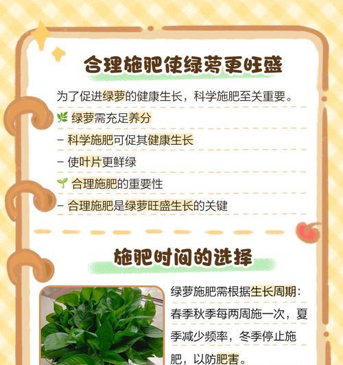 绿萝的正确养护方法是什么？
