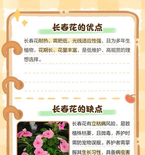 长春花播种发芽后如何晒太阳和追肥？
