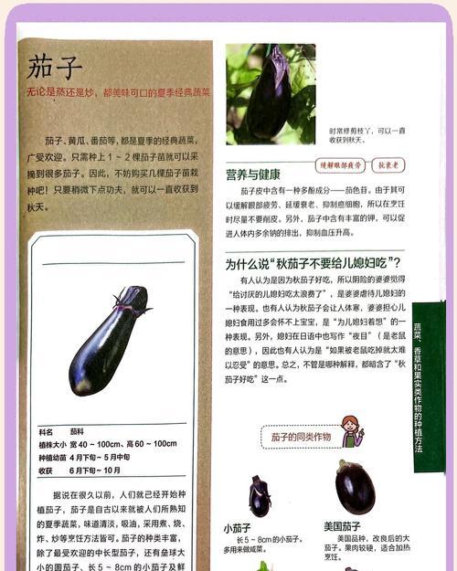 茄子种植需要注意哪些技术和管理？