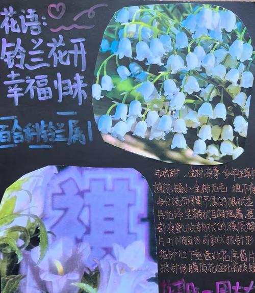 花卉有哪些科普知识需要了解？
