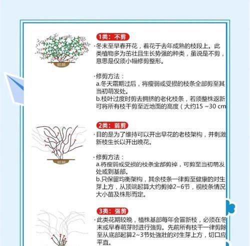 铁线莲喜阴品种如何养护？养护指南大公开！
