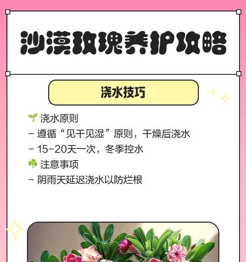 沙漠玫瑰养护攻略！轻松爆花秘诀是什么？