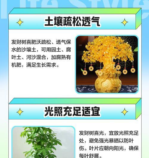发财树养护指南：从生长到开花结果的全程技巧？