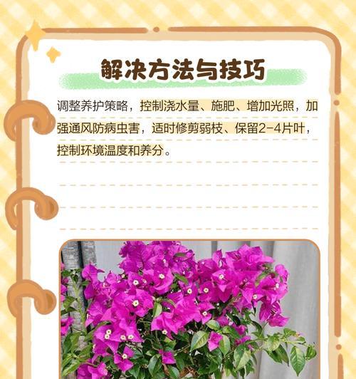 解决黄叶最好的办法是什么？黄叶原因及解决方法？
