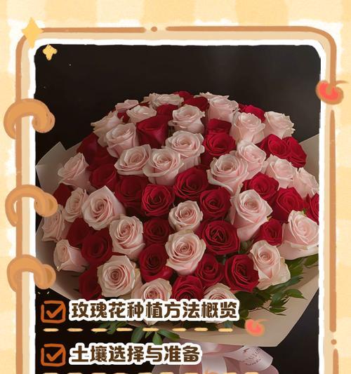 田园土玫瑰花的种植方法是什么？