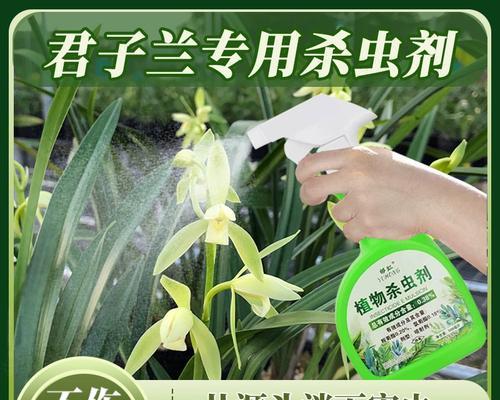 君子兰土里长虫的处理方法是什么？