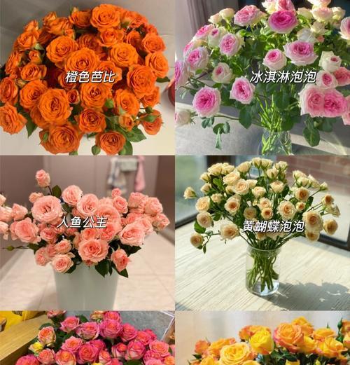 玫瑰花有花苞之后的正确养护方法是什么？