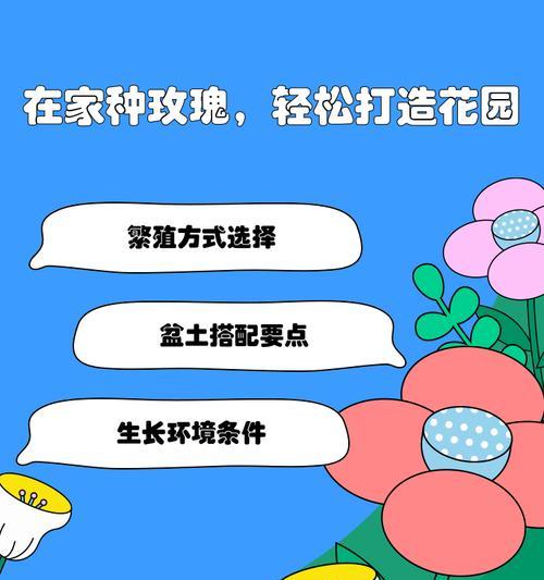 沙土玫瑰花的养护管理要点有哪些？