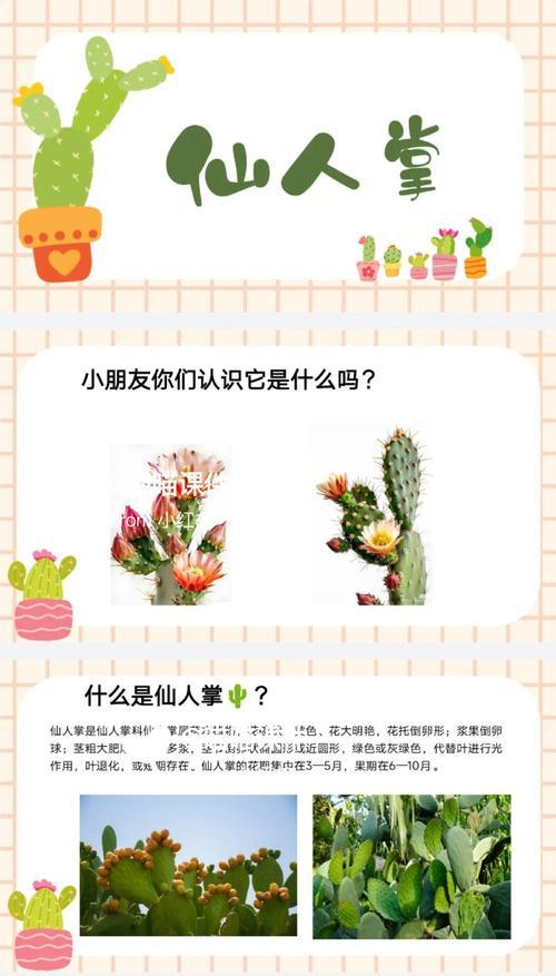 如何进行植物直播仙人掌？