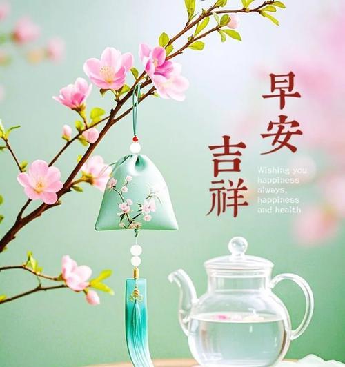 玫瑰花品种野草的养护方法是什么？