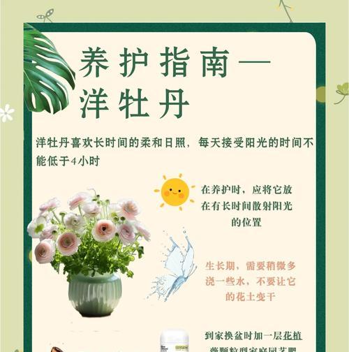野生母牡丹花的养护技巧是什么？