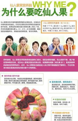 仙人掌仙桃种子种植步骤是什么？