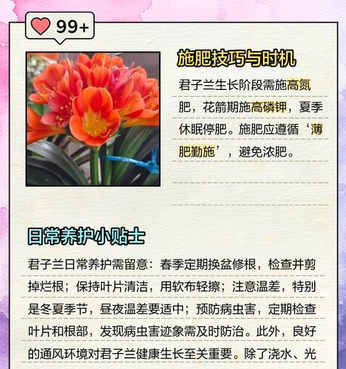 冬季君子兰浇水的最佳时间是什么时候？