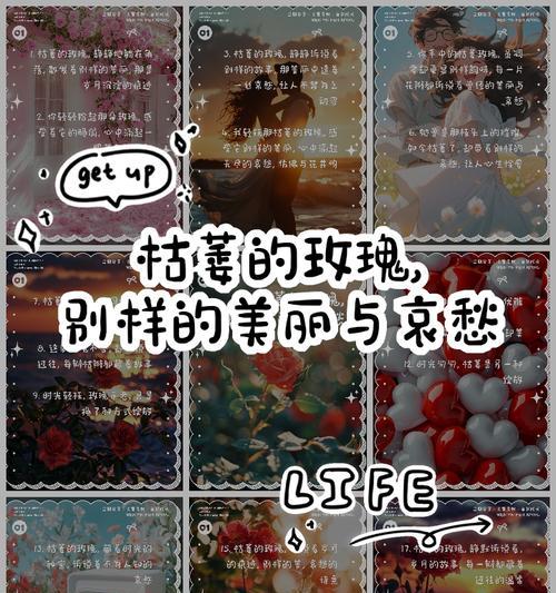 玫瑰花在哪个季节容易枯萎？原因是什么？