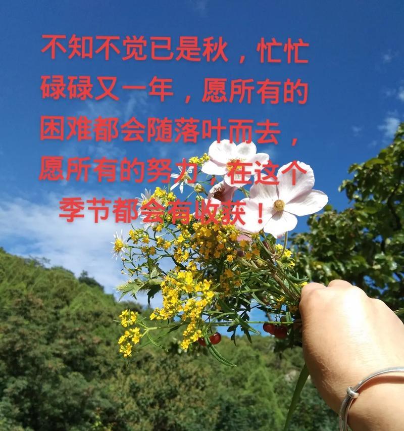 君子兰在秋天落叶是什么原因？