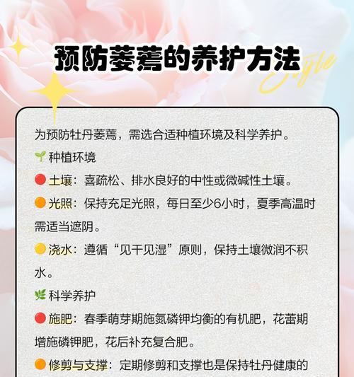 4月牡丹花蔫了该如何处理？