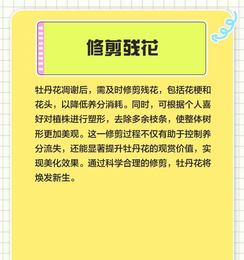 4月牡丹花蔫了该如何处理？