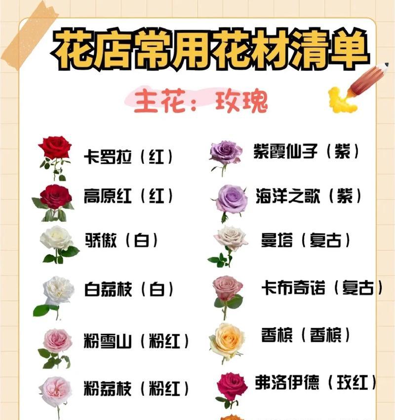 君子兰高杆大花苞的处理方法和常见问题解答有哪些？