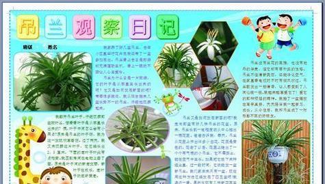 迷你世界中仙人掌幼苗的种植方法？