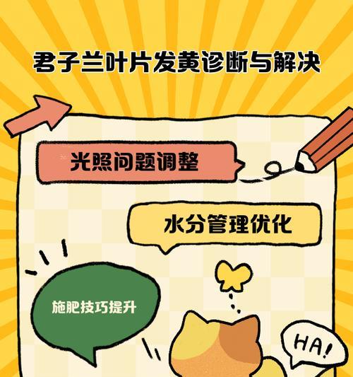 君子兰磷钾肥过多叶子发黄的解决方法？