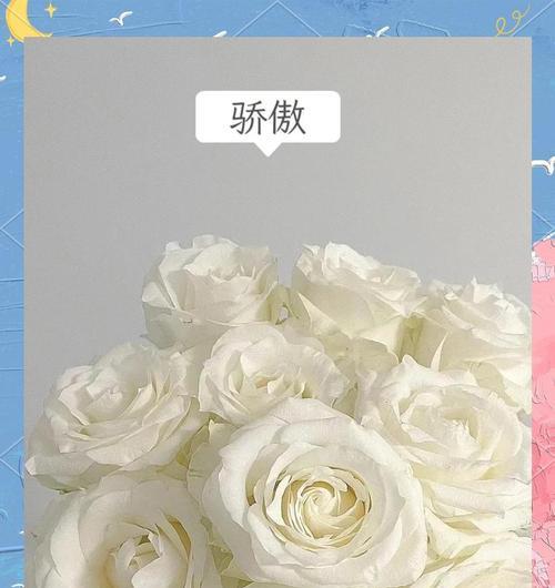 玫瑰花颈链白色品种的识别方法是什么？