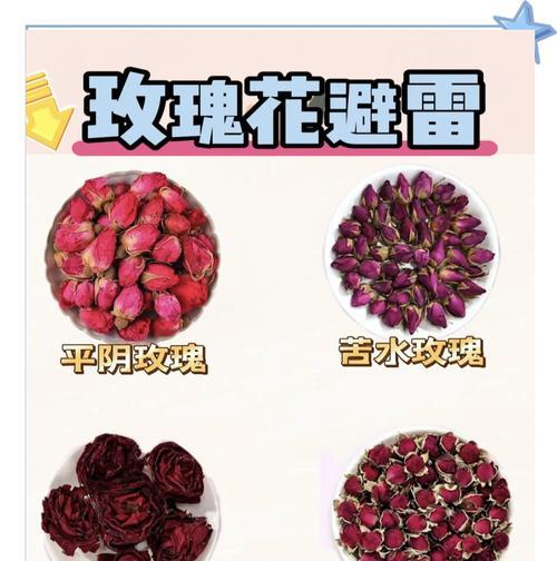 哪些玫瑰花品种适合入药使用？