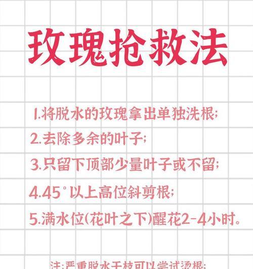 给玫瑰花剪根的正确方法是什么？