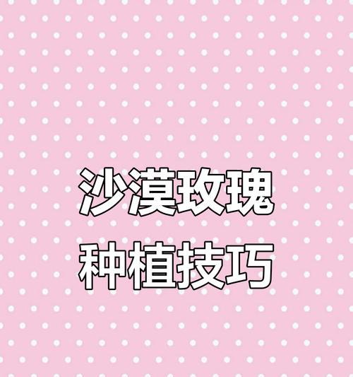 玫瑰花修剪根部对开花有何影响？