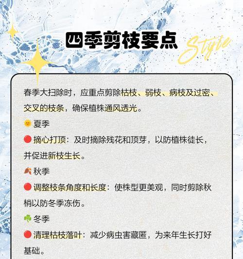 玫瑰花修剪根部的步骤详细说明是什么？