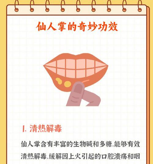 仙人掌因浇水过多烂根如何处理？