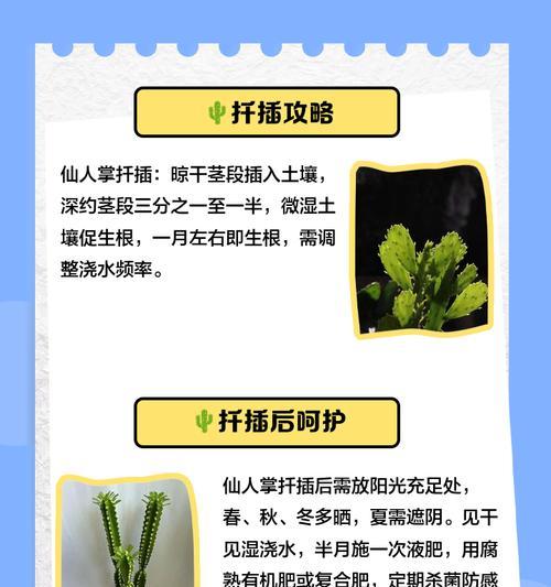 仙人掌因浇水过多烂根如何处理？