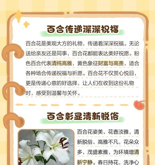 百合花的花语有哪些功效和作用？
