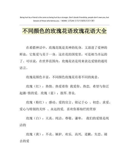 不同颜色玫瑰花的花语有何不同？