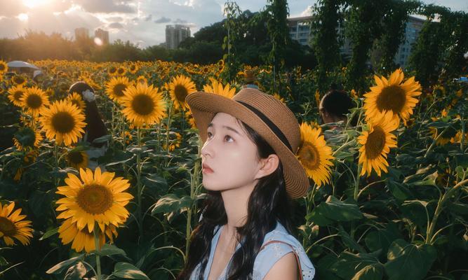 向日葵有哪些不同的花语？